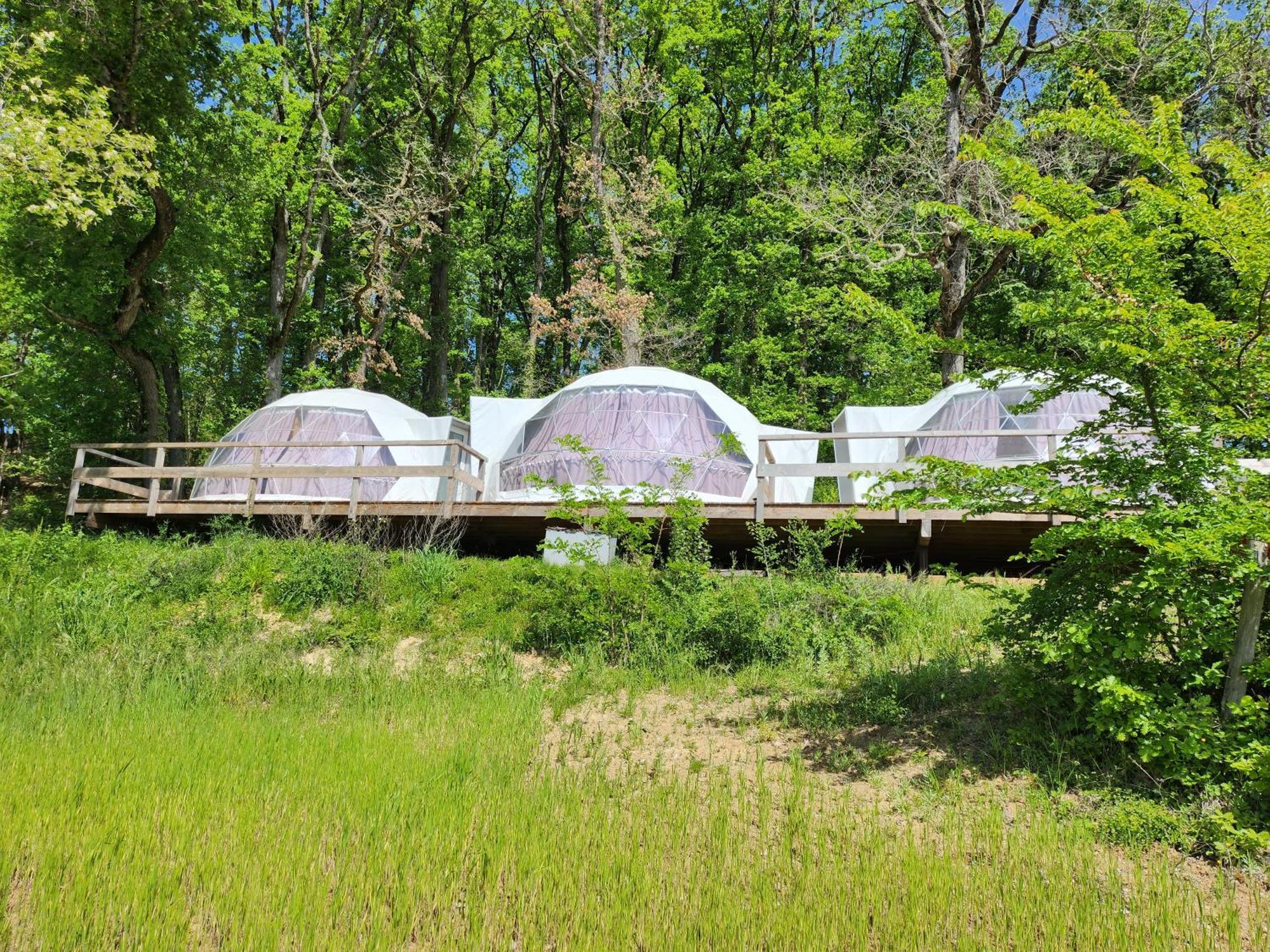 Domaine De Massoulac Molieres  ภายนอก รูปภาพ