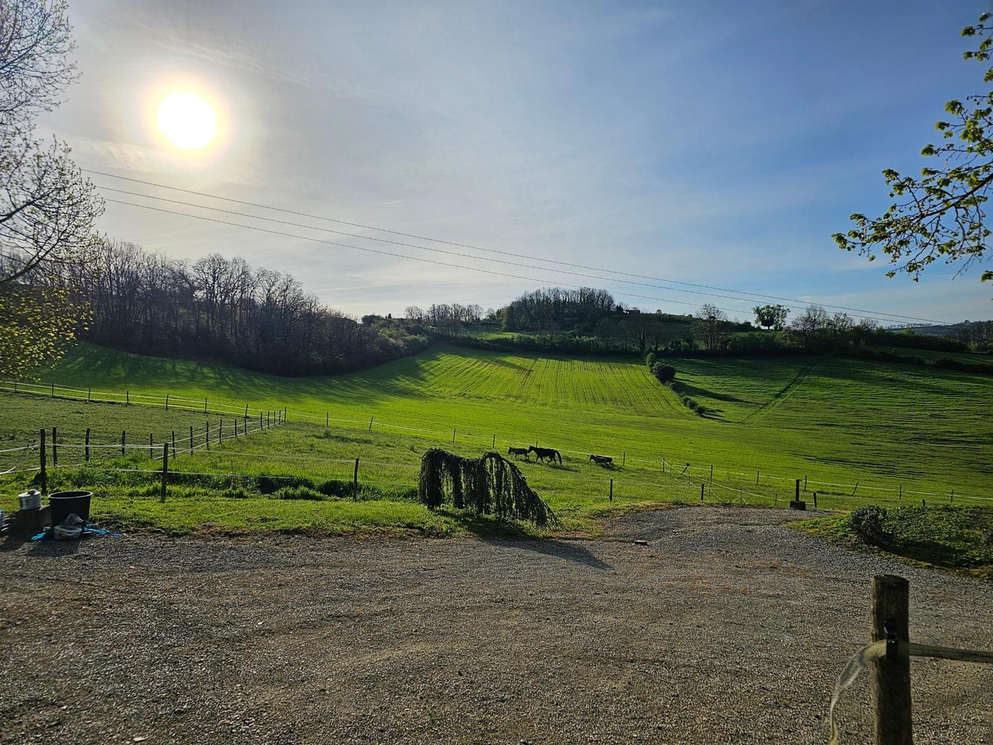 Domaine De Massoulac Molieres  ภายนอก รูปภาพ