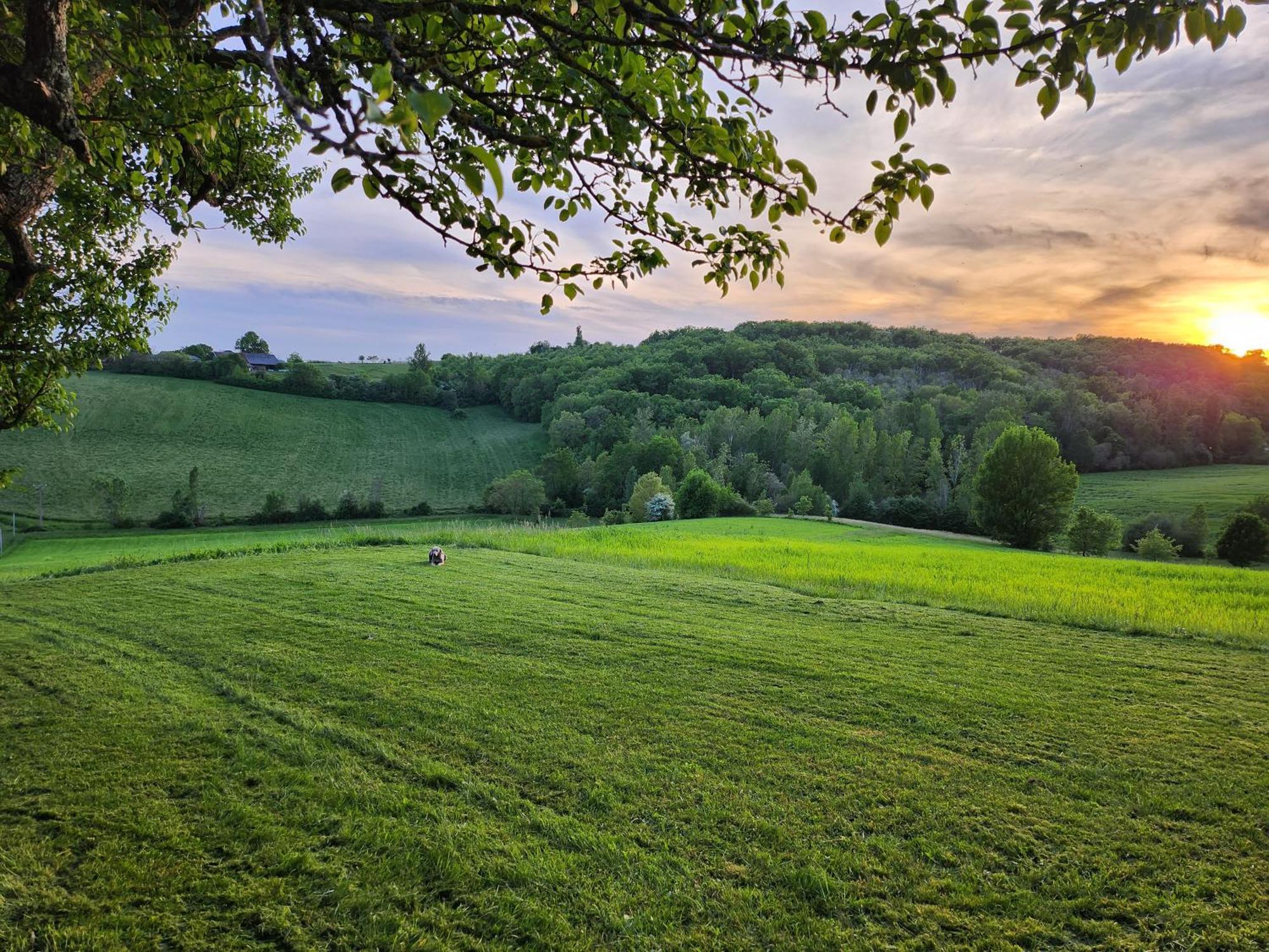Domaine De Massoulac Molieres  ภายนอก รูปภาพ