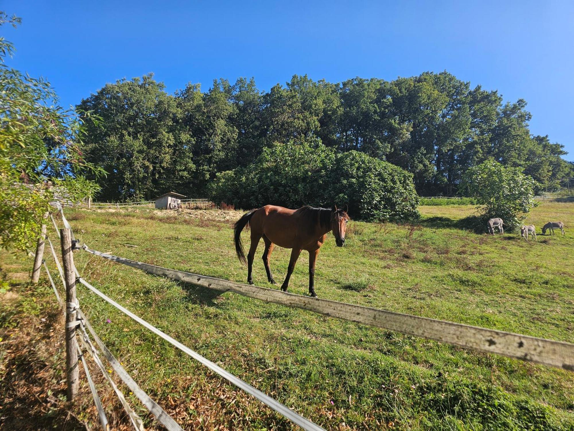 Domaine De Massoulac Molieres  ภายนอก รูปภาพ